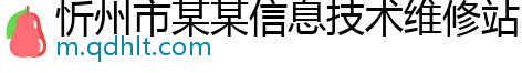 忻州市某某信息技术维修站